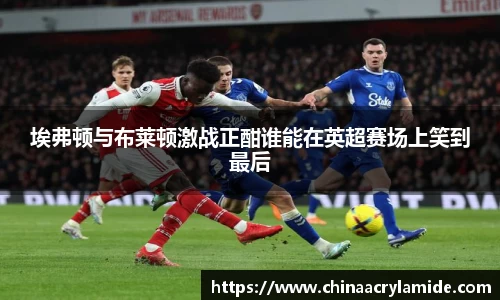 埃弗顿与布莱顿激战正酣谁能在英超赛场上笑到最后